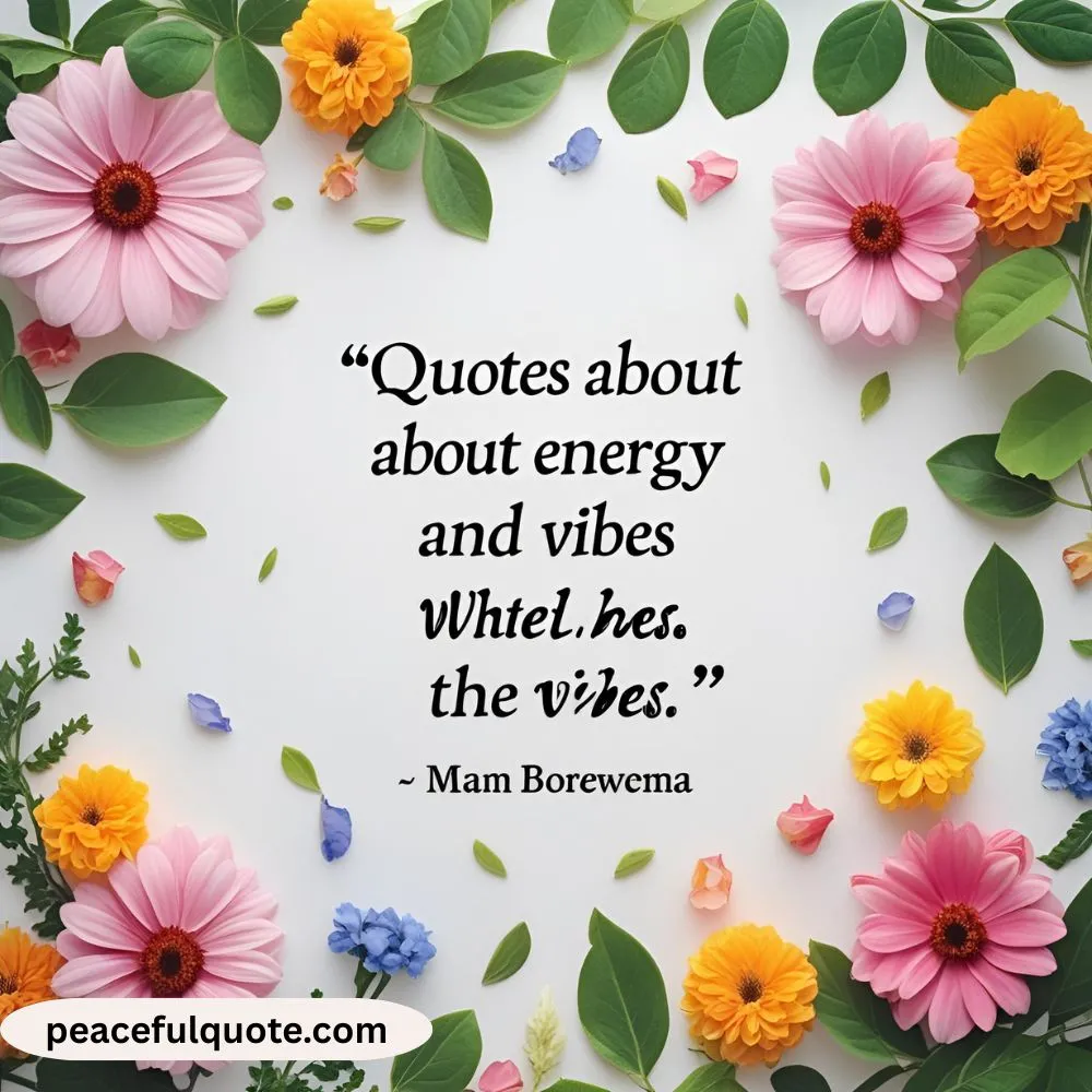 Quotes About energy and vibes