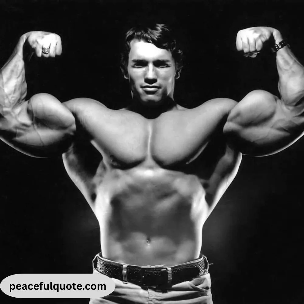 Best Arnold Schwarzenegger Quotes