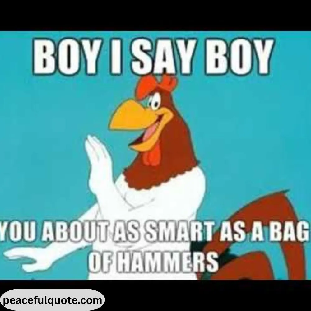 Foghorn Leghorn Quotes Boy I Say Boy