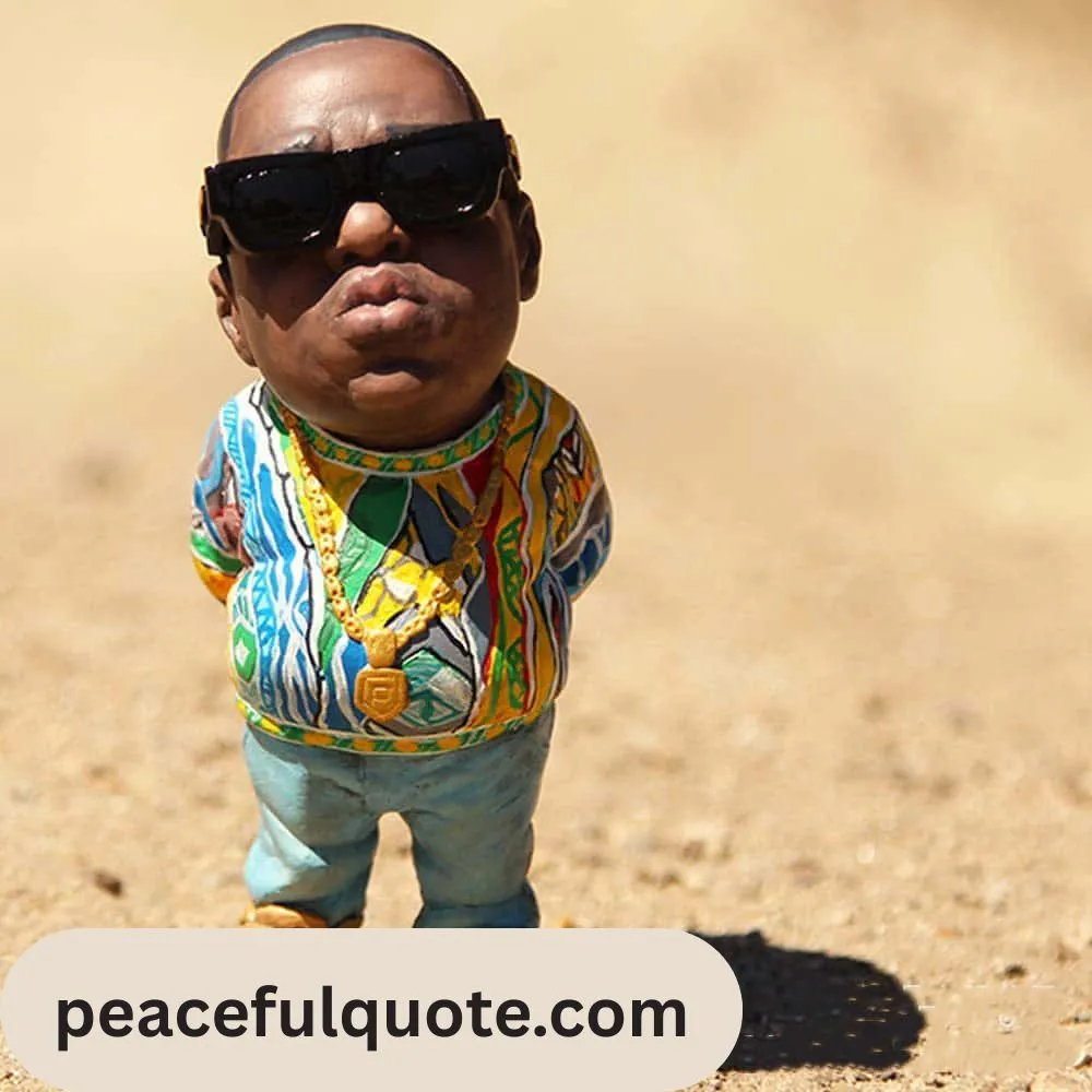 Funny Rapper Quotes