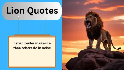 Lion Quotes