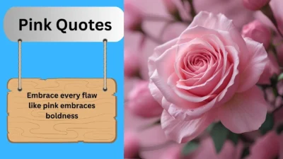 Pink Quotes
