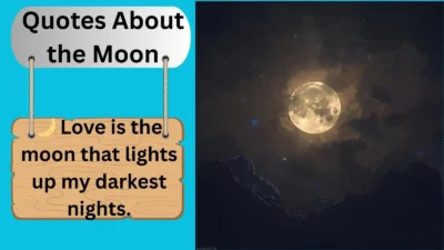 Quotes About the Moon